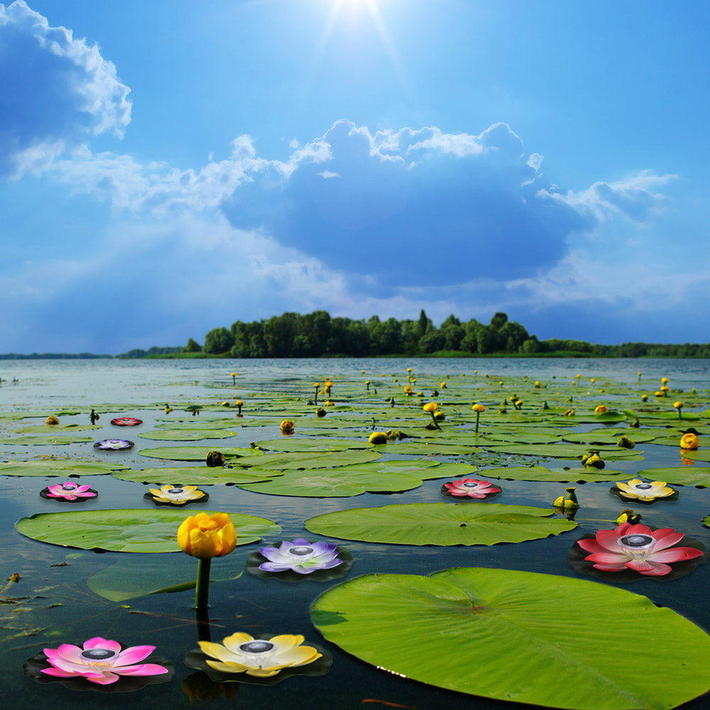Solar Lotus Light - Colorful Pool Decorative Lamp